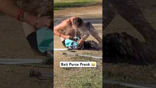 Bait Purse Prank 😂 Pranks ViralVideos JoeySalads [upl. by Atlas629]