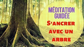 Méditation guidée puissante Sancrer avec laide dun arbre  Gabrielle isis [upl. by Cailean619]