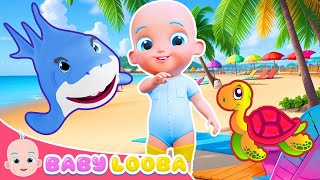 Baby Shark  BabyLooba Nursery Rhymes amp Kids Songs [upl. by Adlesirhc]