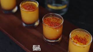 Ilegal Mezcal Drinks Jello Shots [upl. by Krid]