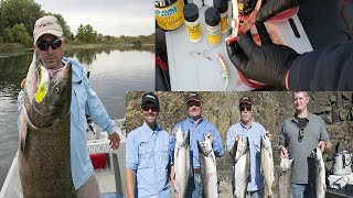 Feather River amp Columbia River Salmon Fishing [upl. by Ahsiemat]