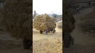 tractor khapla ge 😭  village minivlog short shortvideo trending tractor [upl. by Ydnes]