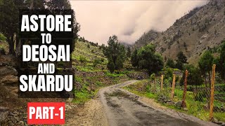 Astore to Skardu via Deosai PART1  Sheosar Lake  Travel Guide  Road Condition  Gilgit Baltistan [upl. by Terle]