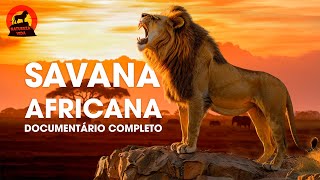 🔴SAVANA AFRICANA  Terra dos Predadores Mais Brutais  Documentários animais [upl. by Towne]