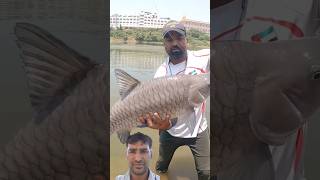 fishing khanfishingclub fish amazingcatching carpfishing abdurrehmangothfishing carp mafish [upl. by Mas912]