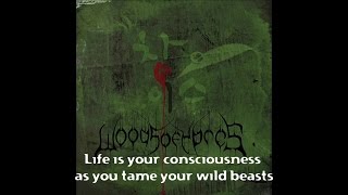 Woods of Ypres  Wet Leather lyric video [upl. by Eigger482]