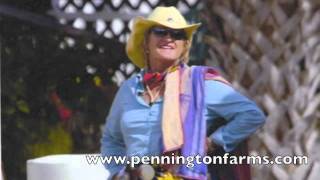 Explore Pennington Farms Out of Fort Myers FL [upl. by Raquela]