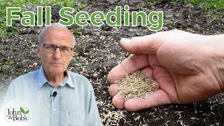 Fall Lawn Care  How To Grow Grass From Seed amp Overseed In Fall [upl. by Cassius]