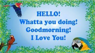 Teach your Parrot to say Hello Whatta you doing Goodmorning amp I Love you With 1 hour breaks [upl. by Ettenor]