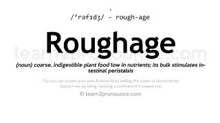 Pronunciation of Roughage  Definition of Roughage [upl. by Bernadine]