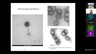 Curso de Zoonosis y enfermedades infecciosas [upl. by Innes]