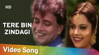 Tere Bin Zindagi HD  Heeralal Pannalal 1999  Mithun Chakraborty  Bollywood Romantic Song [upl. by Noyahs526]