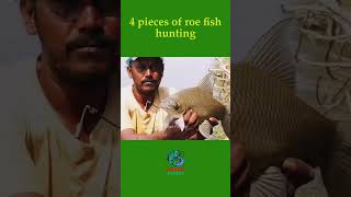 4 pieces of roe fish hunting fishingexpert fishing fishingvideo bestfishingtechniques [upl. by Nabi449]