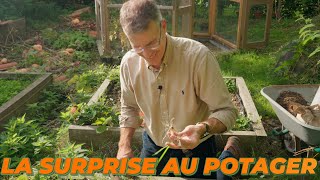 Limportance de noter les rotations de culture dans le potager [upl. by Lal]