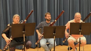 Philharmonic preview October 20 2024  Meet the Bassoons [upl. by Heim36]