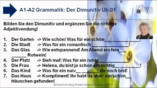 A1A2 Grammatik Dimunitiv u Deklination Üb01 [upl. by Player]