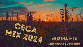 🔥CECA MIX ZA SVA VREMENA 2024🔥 [upl. by Hardy89]