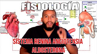 Fisiología  Sistema Renina Angiotensina Aldosterona Mácula Densa Aparato Yuxtaglomerular [upl. by Azarcon]