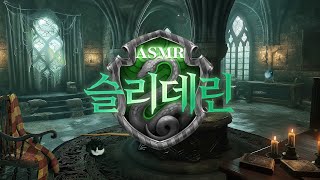 야 잡종 공부해 슬리데린에 2등 따윈 없어🌙 공부할 때 듣는 해리포터 ASMR [upl. by Sebbie]