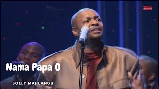 Nama Papa O by Solly Mahlangu Live Concert [upl. by Rickart613]