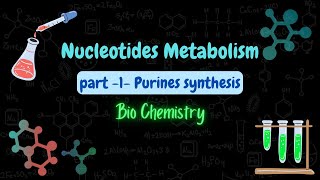 Nucleotides metabolism  Purines synthesis  اصطناع النكليوتيدات البورينية شرح بالعربي [upl. by Nera]