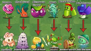 Pvz 2 International amp Chinese  Every Plants Same Shape in Game  WEAK Vs STRONG [upl. by Mccullough]