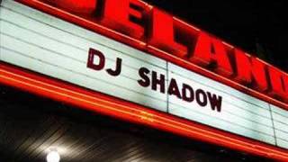 DJ Shadow  Organ Donar [upl. by Clyde]