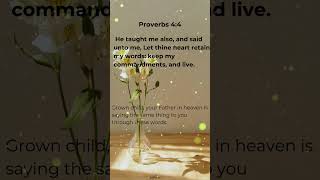 Proverbs 44 [upl. by Ahsirahc479]