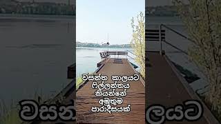 ෆින්ලන්තයේ ලස්සන Finland Sinhala Video finland travel sinhala europeantravel traveldestinations [upl. by Archibald]