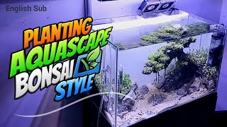 Planting Aquascape Bonsai Style [upl. by Tybalt836]