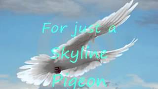 Skyline Pigeon With Lyrics wmv [upl. by Eemyaj32]