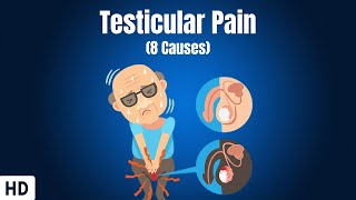 8 Causes Of Testicular Pain [upl. by Addison]