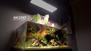 How To Do Aquatic Plants Waterfall Aquaterrarium l Make 4 Terrarium [upl. by Afinom490]