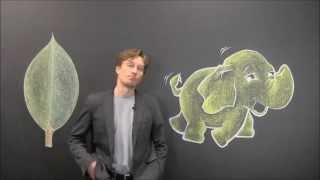 Hadoop vs MongoDB [upl. by Enicar]