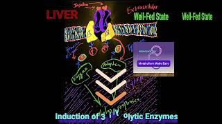 Regulation of Glycolysis amp Gluconeogenesis A Summary Metabolism Made Easy [upl. by Ainna]