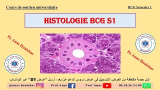 Histologie BCG S1  Chapitre I  Épithéliums Introduction à lHistologie شرح بالدارجة [upl. by Amelia948]