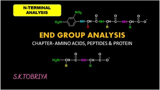 Amino acid sequencingN terminal residue analysis [upl. by Francoise]