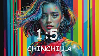 CHINCHILLA – 15 Lyrics 💗♫ [upl. by Gnel]