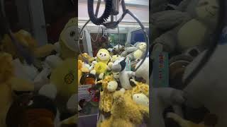 Muñelocos de a 10 pesos maquinitas peluches muñelocos humor [upl. by Anirtik928]