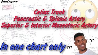 Arteries of Celiac Trunk Inferior and Superior Mesenteric Artery Pancreatic amp Splenic Artery [upl. by Marylee]
