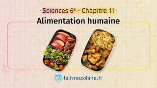 Alimentation humaine Sciences et Technologie 6e [upl. by Alarick47]