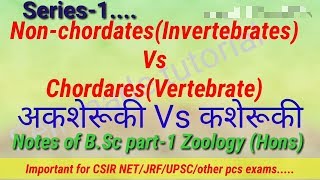 NonchordatesInvertebrates Vs ChordaresVertebrate अकशेरूकी Vs कशेरूकी Notes of BSc part1 Zool [upl. by Eicnarf]