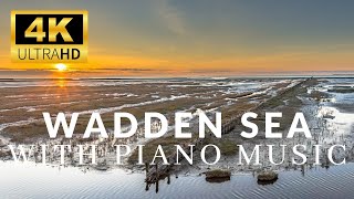 Wadden Sea 4K 🇩🇪 View of Wadden Sea National Park with Relaxing Piano Music [upl. by Aekahs387]