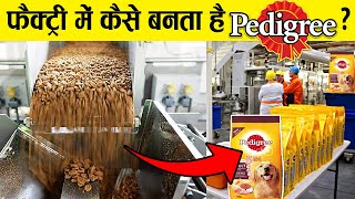 फैक्ट्री में कैसे बनता है PEDIGREE डॉग फ़ूड How is PEDIGREE dog food made in factory [upl. by Gardie]