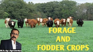 FORAGE AND FODDER CROPS [upl. by Icrad]