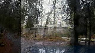 Staircase campground in Olympic National Park [upl. by Ajnotal664]