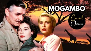 Mogambo 1953 Ava Gardner Clark Gable Grace Kelly full movie reaction [upl. by Rabbaj]