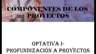 Componentes de Viabilidad de un Proyecto [upl. by Egag]