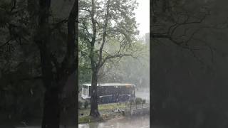 The rain makes the car dirtier doesnt it  youtubeshorts shorts [upl. by Melamie]