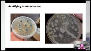 Mycology 101  Class 2 Part II [upl. by Esinert287]